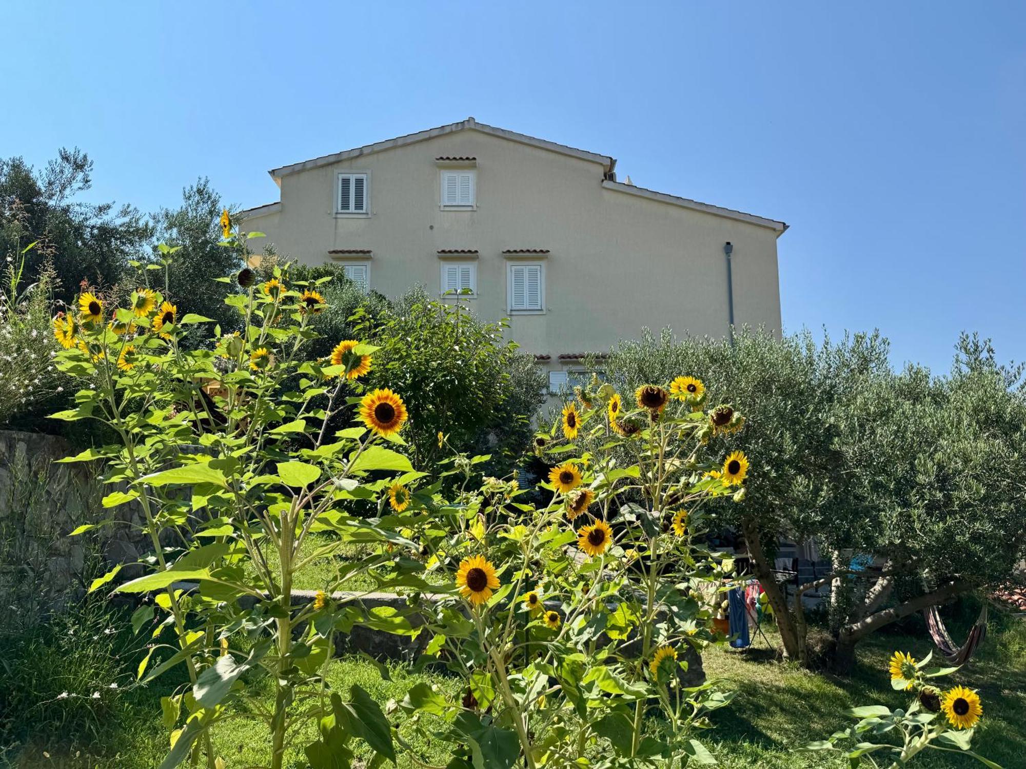 Apartments Maricic Banjol Exterior foto